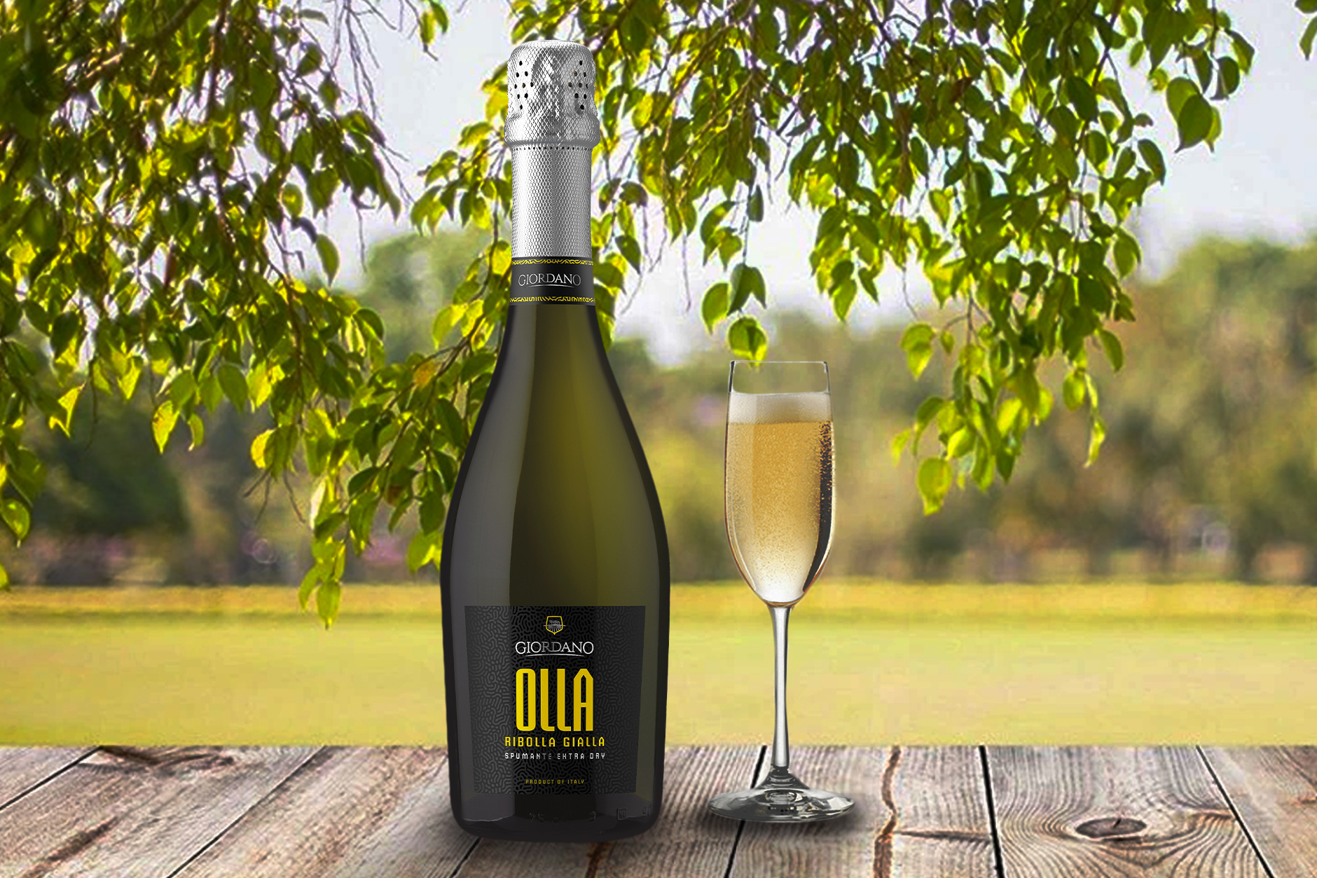 Olla, les nouvelles petites bulles de Ribolla Gialla Olla, les nouvelles petites bulles de Ribolla Gialla